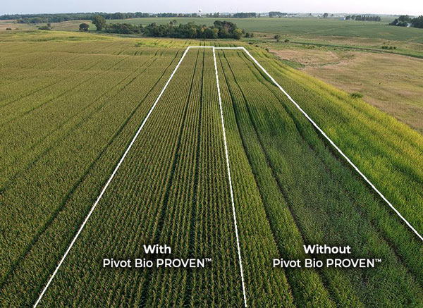 why pivot bio’s new field data is a boon for sustainable agriculture