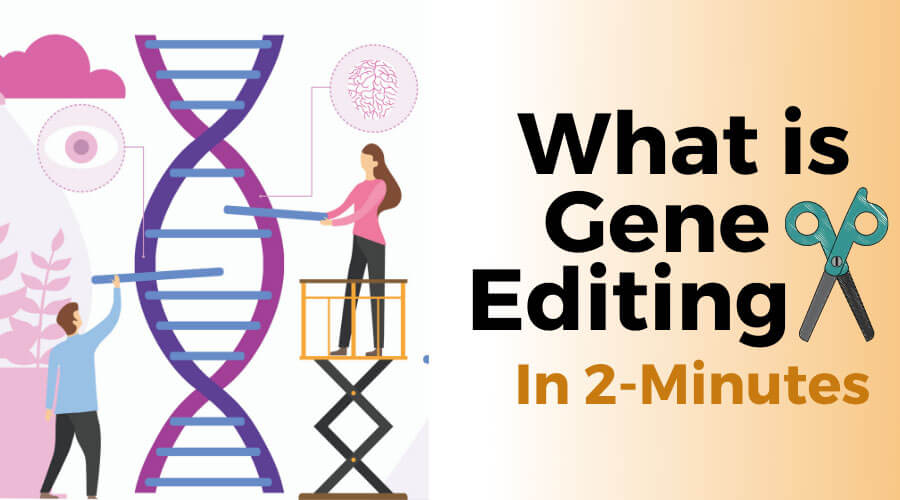 what is gene editing how it works in 2 minutes